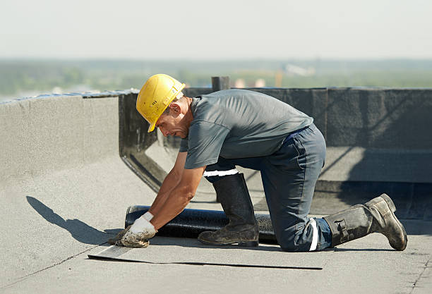 Best Insulation Installation Services in , NM